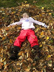 Playing in the Leaves 4