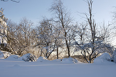 Blizzard 2010 - 4