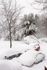 Blizzard of 2010