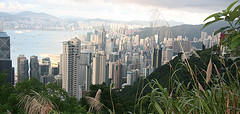 Green Hong Kong